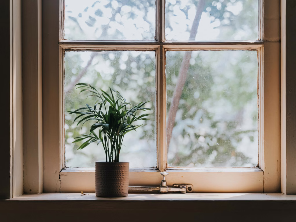 Small green plant in a rustic wooden window frame, letting in natural light, symbolizing calm home mental health space.
